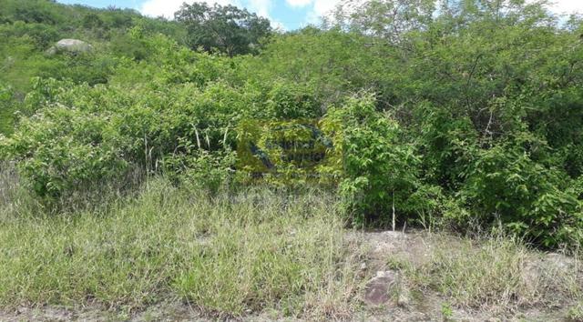 Lote Grande Em Codomínio-Apenas R$140 Mil- Gravatá/PE / Propriedade ID : LT0646 - Foto 3