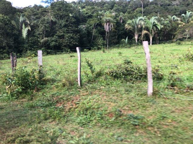 120 alqueires, pecuária e parte lavoura Bom Jardim-MT