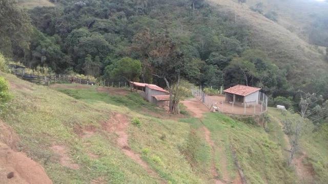 Sitio 10 alqueires margem rio paraíba local sem poluição estuda permuta até 50% vlr - Foto 18