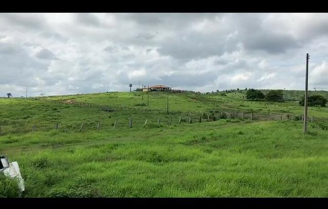 Vendo fazenda 300 alqueires (Margeando o Asfalto) - Foto 3