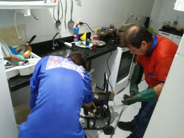 O exterminador controlador de pragas urbanas - Foto 2