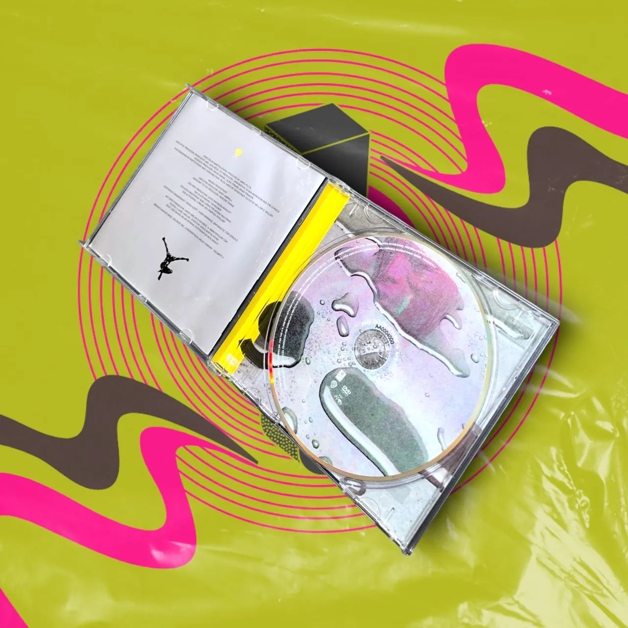 DVD Seal | LIVE IN PARIS - Foto 3