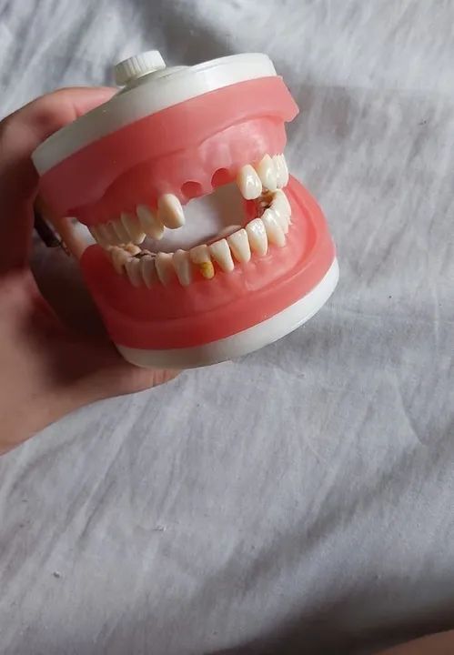 MANEQUIM DENTÍSTICA PRONEW. 