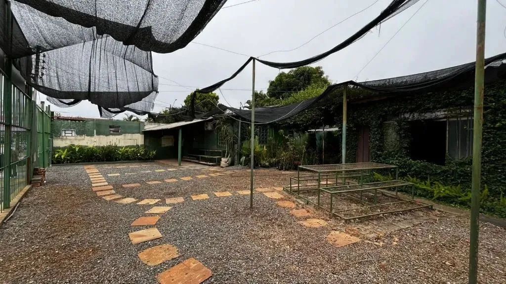 Casa Comercial de 420 m² para alugar por R$ 8.000/mensais no Setor Pedro Ludovico - Goiâni - Foto 3