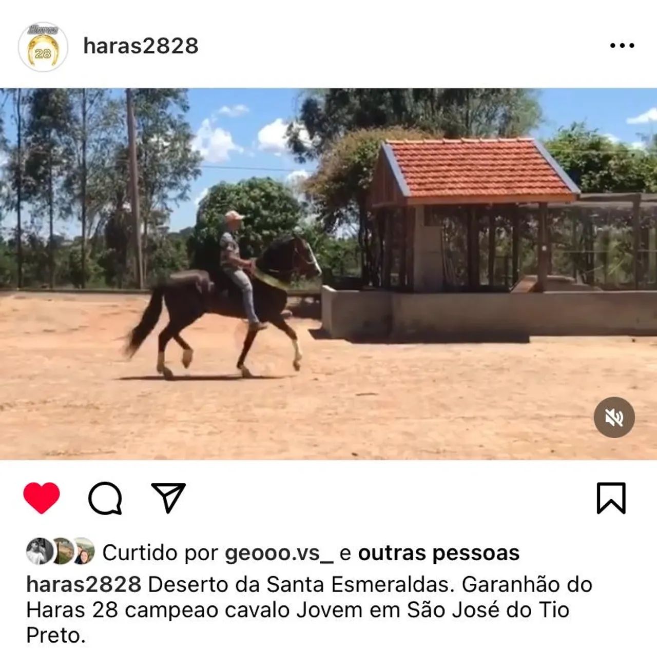 Cavalo Mangalarga Marchador - Deserto da Santa Esmeraldas - Foto 2