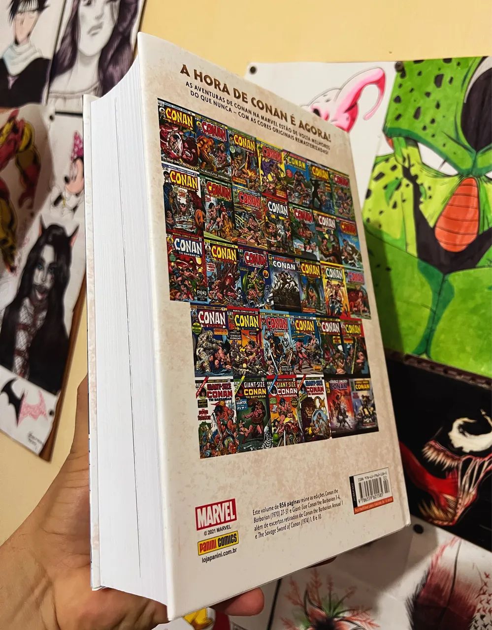 Conan o bárbaro Omnibus volumes 1 e 2 - Foto 4