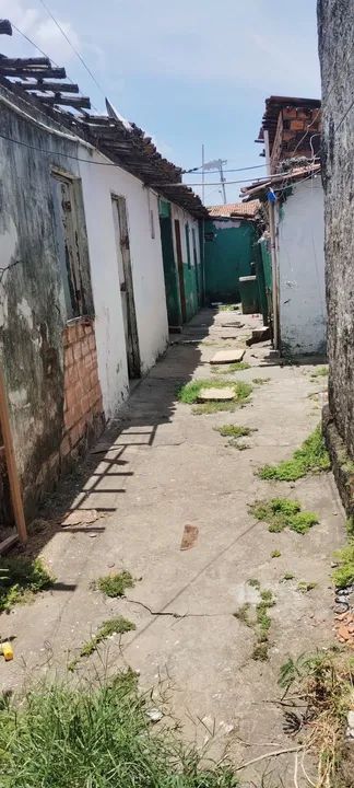 foto - Maceió - Ponta Grossa
