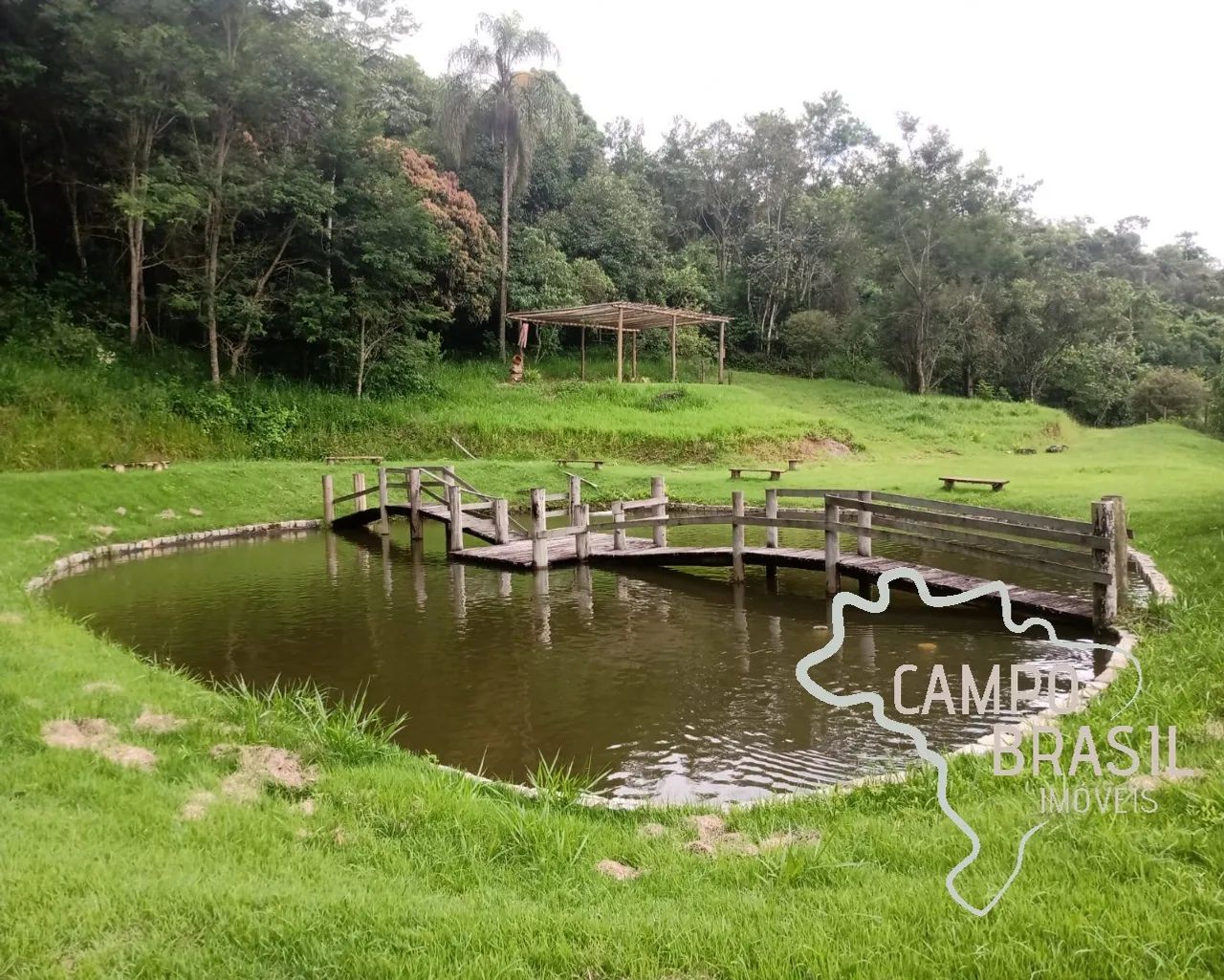 FAZENDA 42 ALQUEIRES EM PINDAMONHANGABA ! - Foto 4