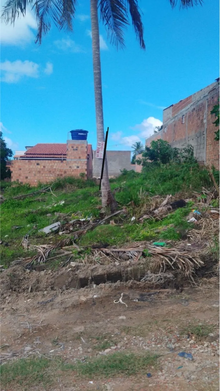 Vende-se terreno em Porto da rua - São Miguel dos milagres