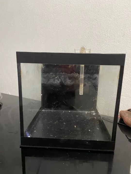 Aquário cubo  - Foto 4
