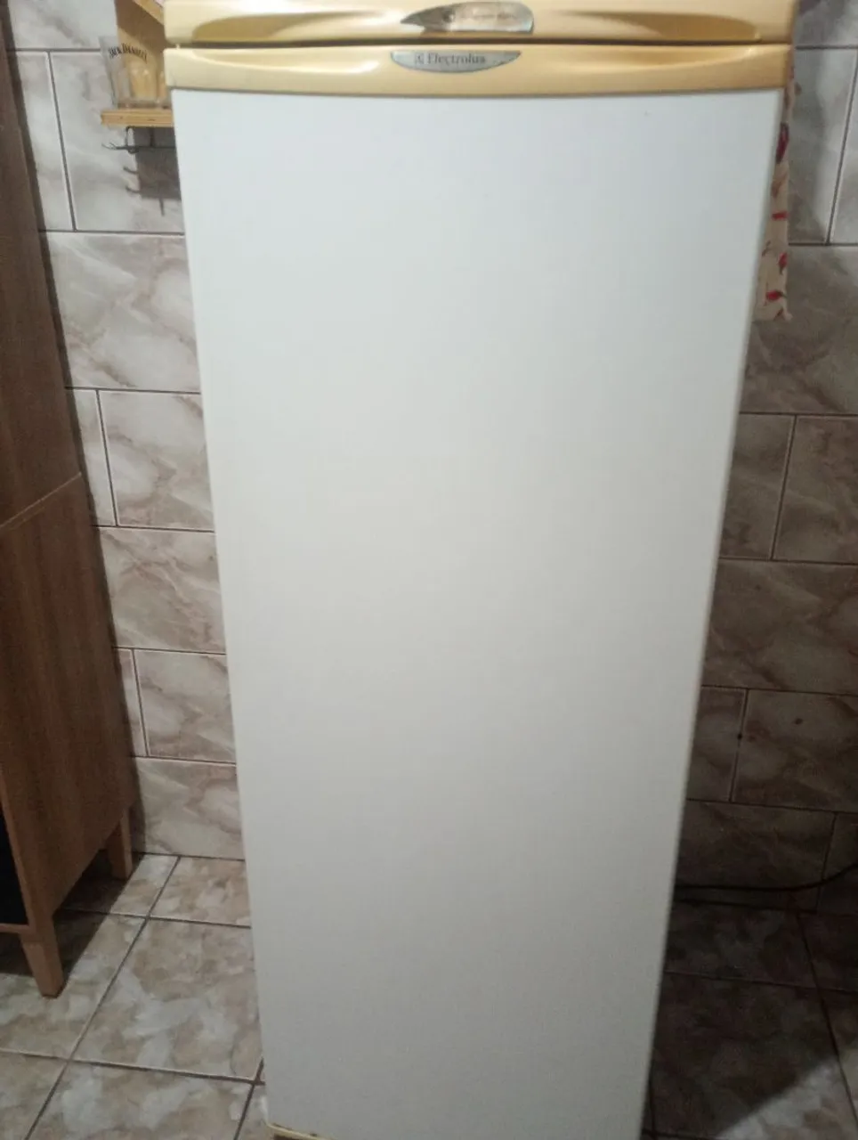 Geladeira Electrolux