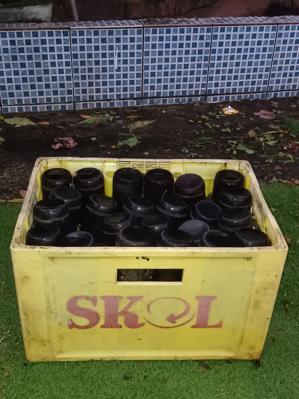Engradado skol