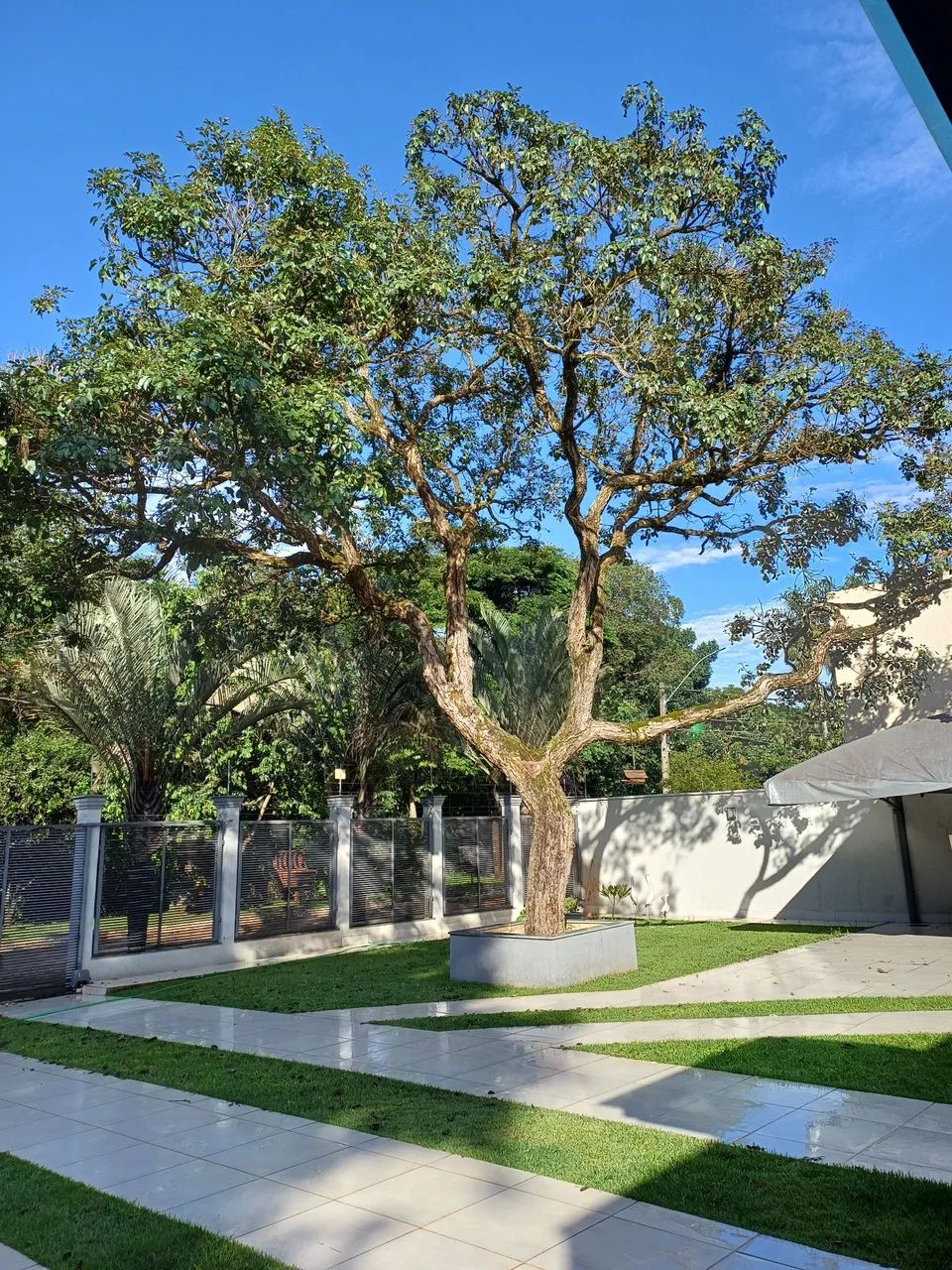 Espaço para eventos Verde perto - Foto 2