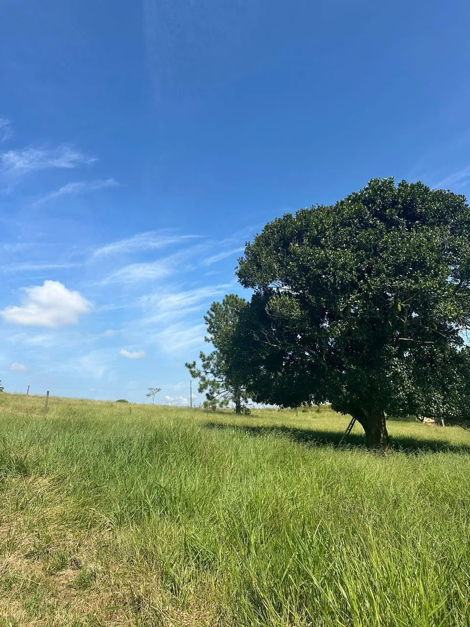 Natureza em Ibiúna!** Terreno com água e energia. Ótima localização próxima ao comércio. - Foto 2