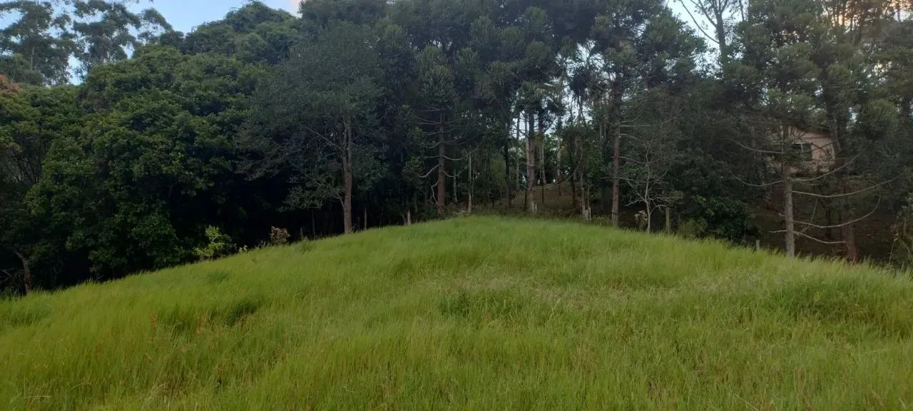 Área com 14.000m² em Alto Biguaçu - Foto 3