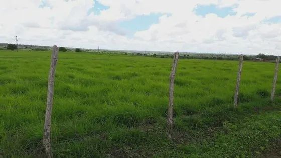 Fazenda com 170 hectares na região de monte alegre - Foto 3