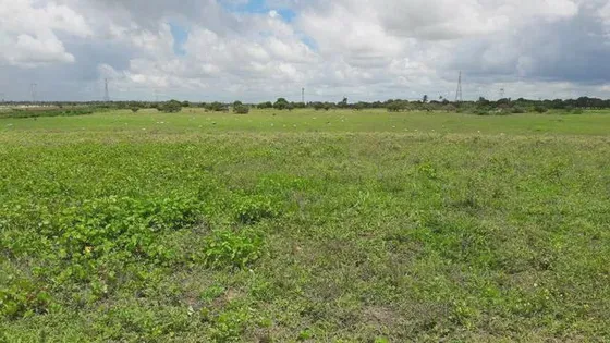 Fazenda com 170 hectares na região de monte alegre