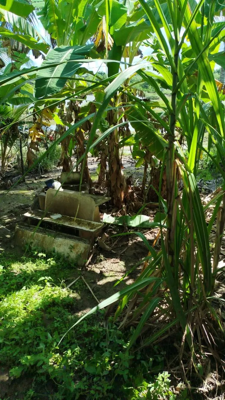 Terreno no marco feire 3 socorro