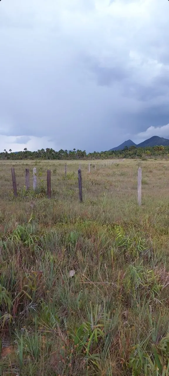 Vende terreno 360ha