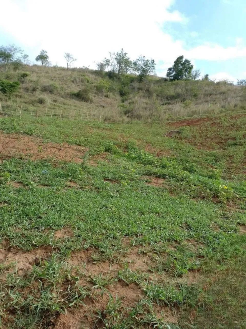 Terreno de chácara 1000m² - Preço baixo - Paraíso particular - Foto 3