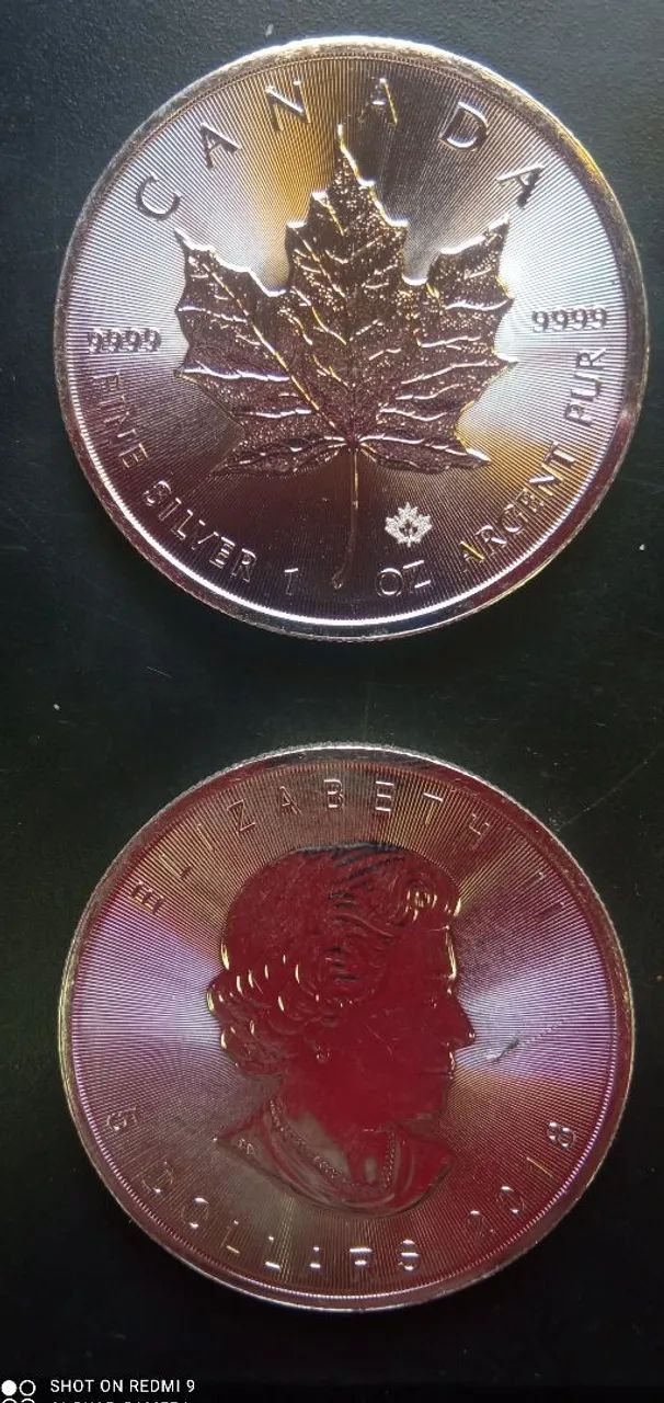Moeda de Prata Pura 999 Canadense MAPLE LEAF 2018