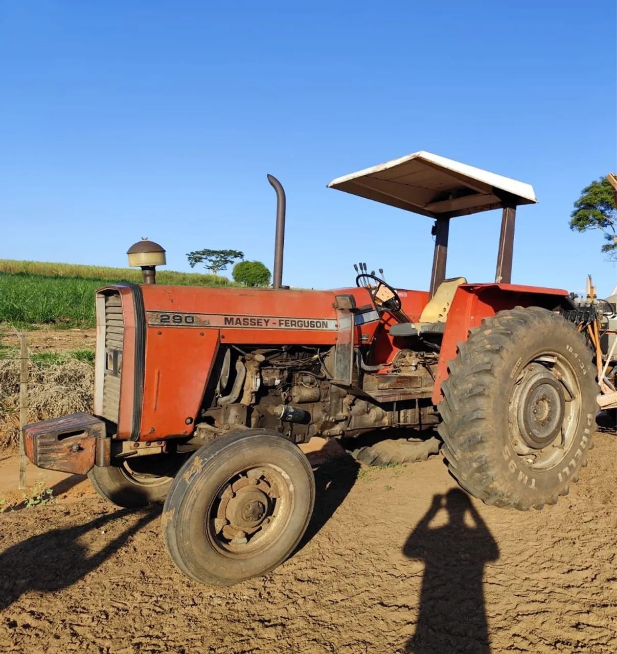 Trator Massey Ferguson 290