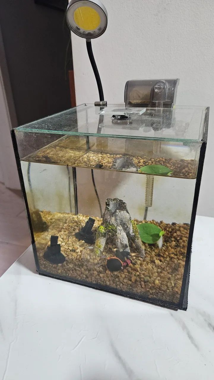 VENDO AQUÁRIO 7 LITROS ( BETTA)