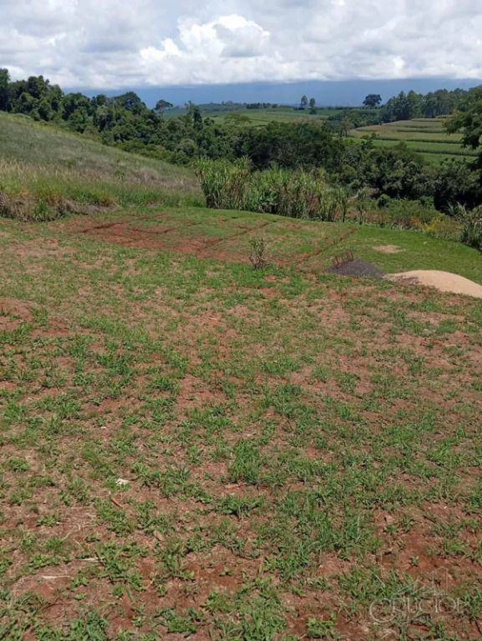 Chácara com 4.000m2 - Tamarana - Pomar e baldrame pronto para construir casa - Foto 3