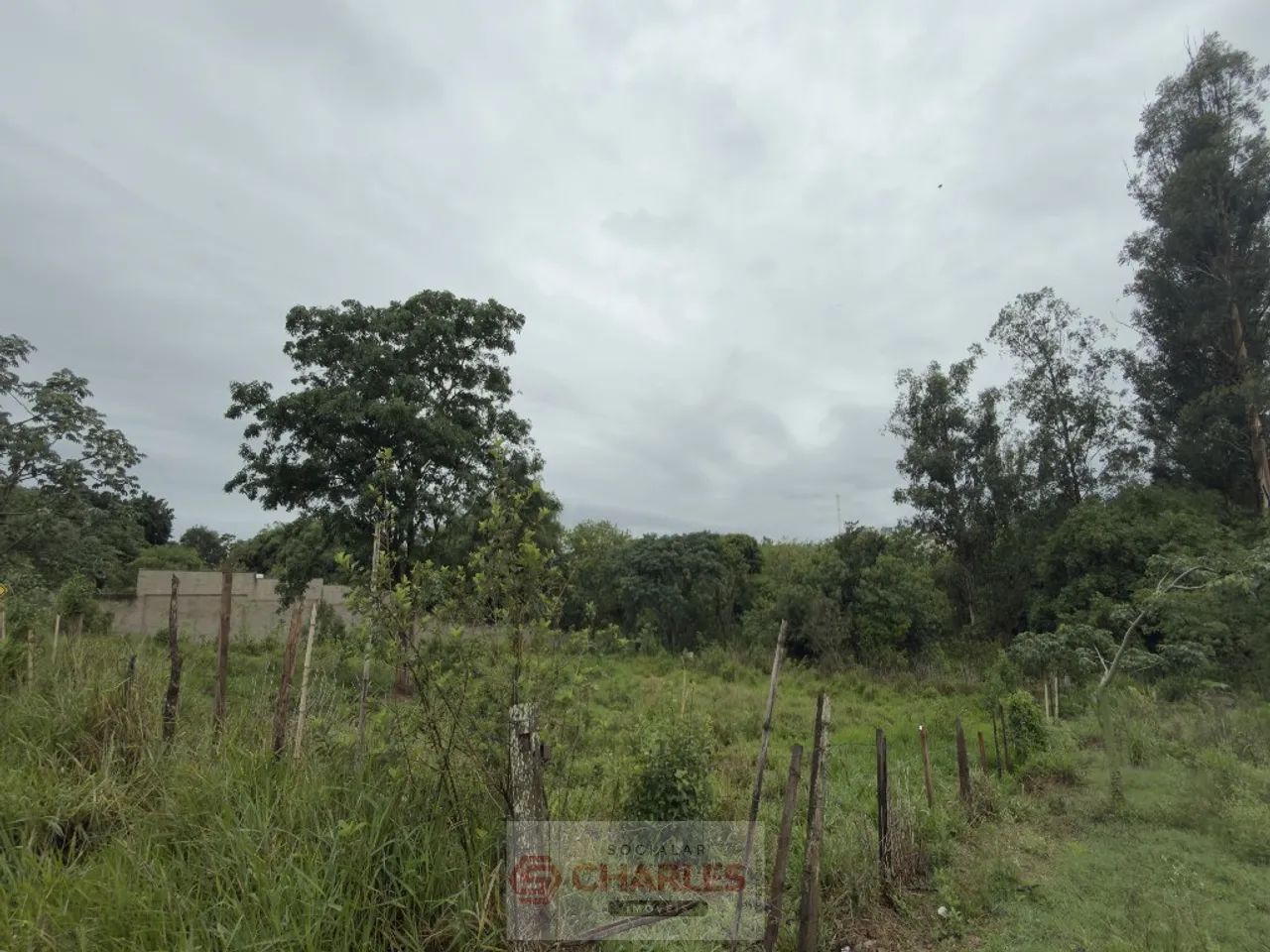 Área Acima De 500m2 Para Venda PIRES ITAPIRA - Foto 2