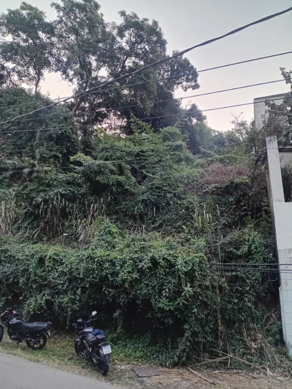 Terreno na Rua das Rosas - Vila Valqueire 