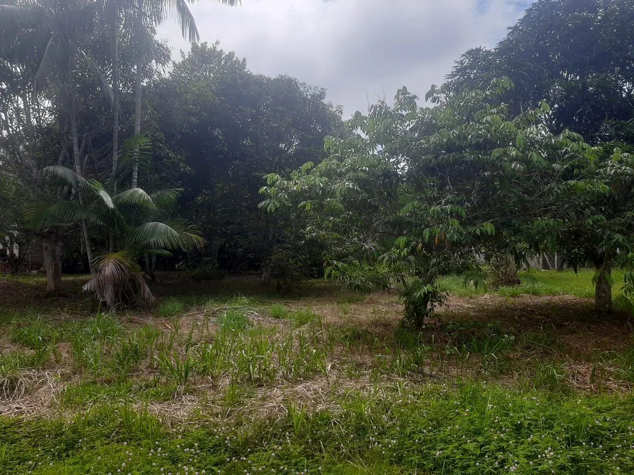 Vendo ou troco 3 terrenos  - Foto 5