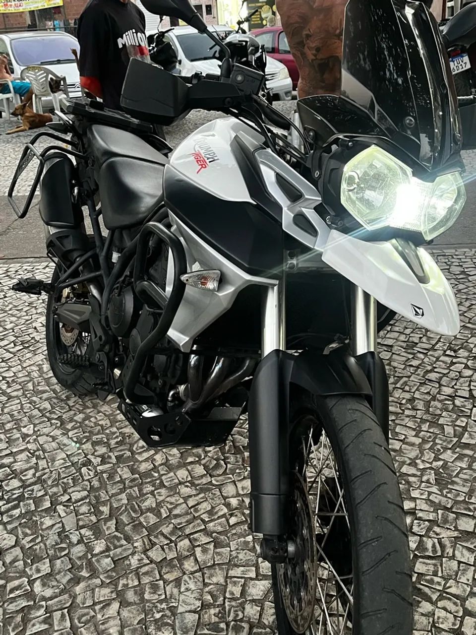 Tiger 800 2014 