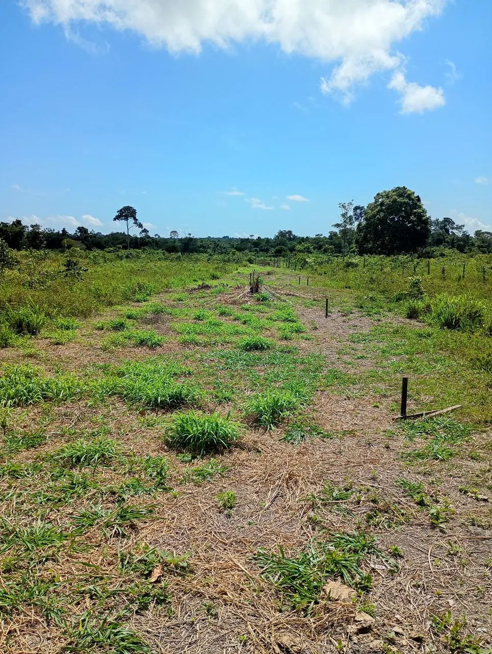 Terrenos a venda  - Foto 5