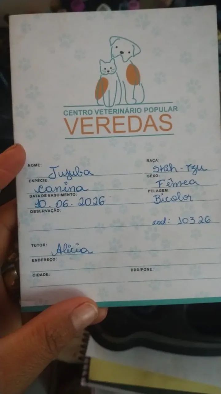 Cachorro  - Foto 4