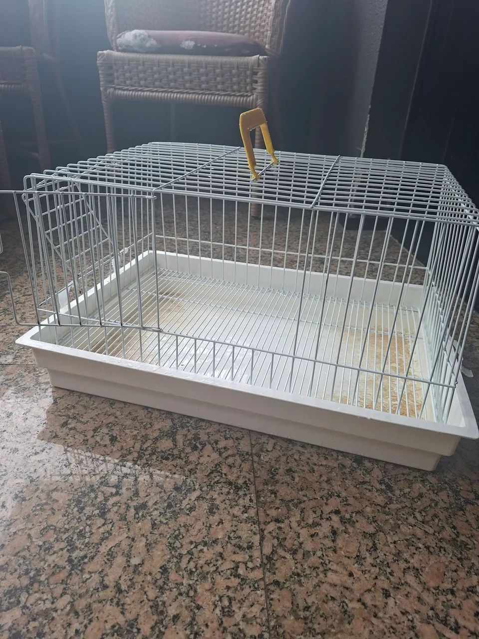 Gaiola 424794540139489281