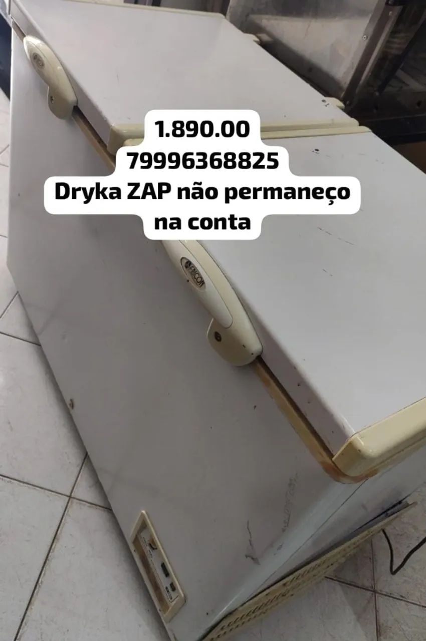 freezer duas portas 