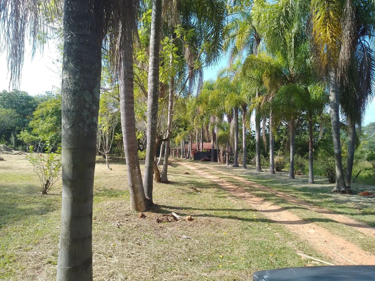 Jardineiro c/ experiência  - Foto 3