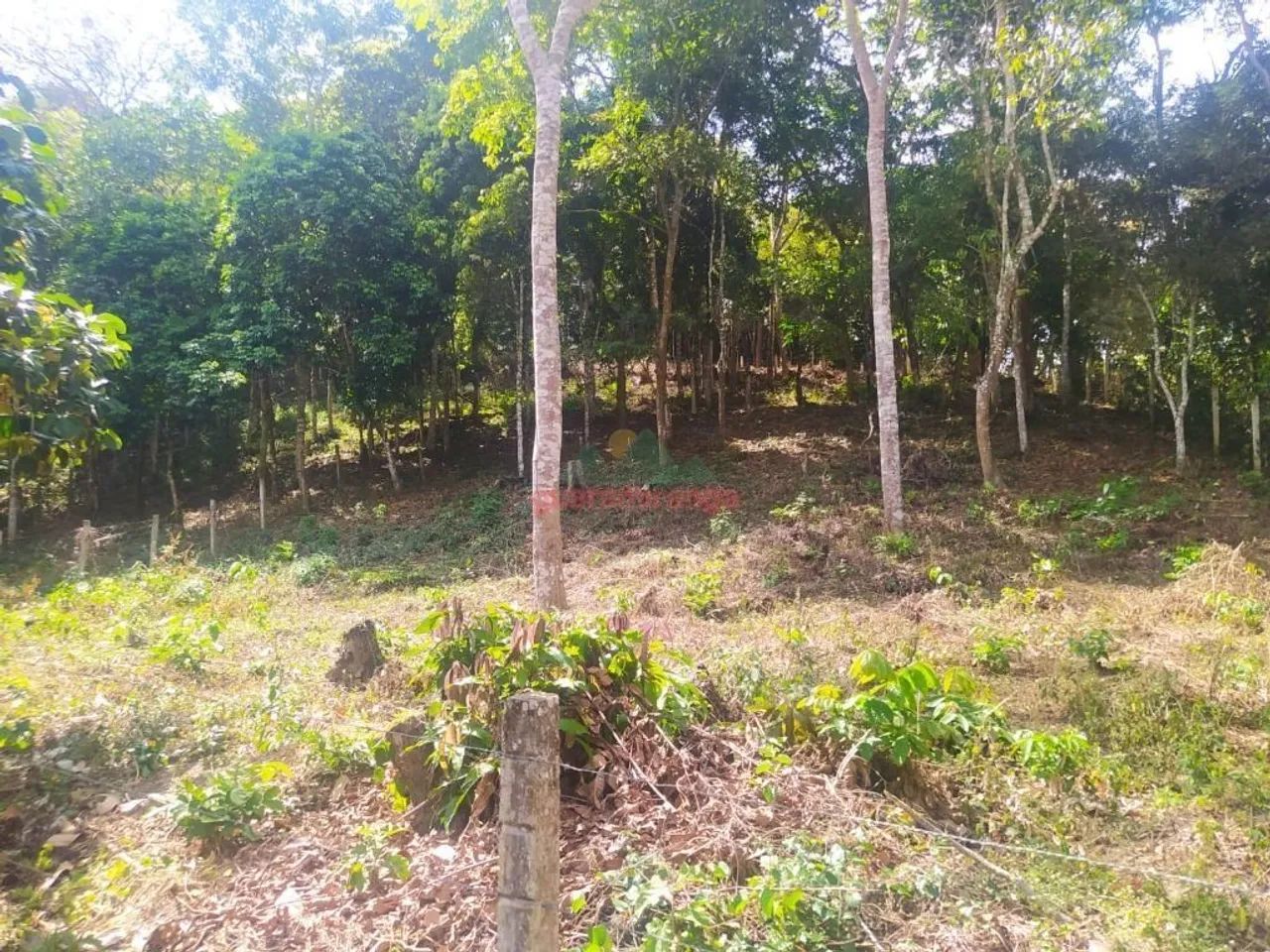 Gleba com 420,00 m² a 8,5 km do Centro de Guaramiranga/CE. - Foto 3