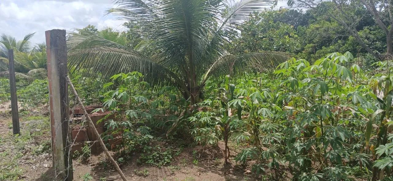 Terreno em Paudalho PE  - Foto 4