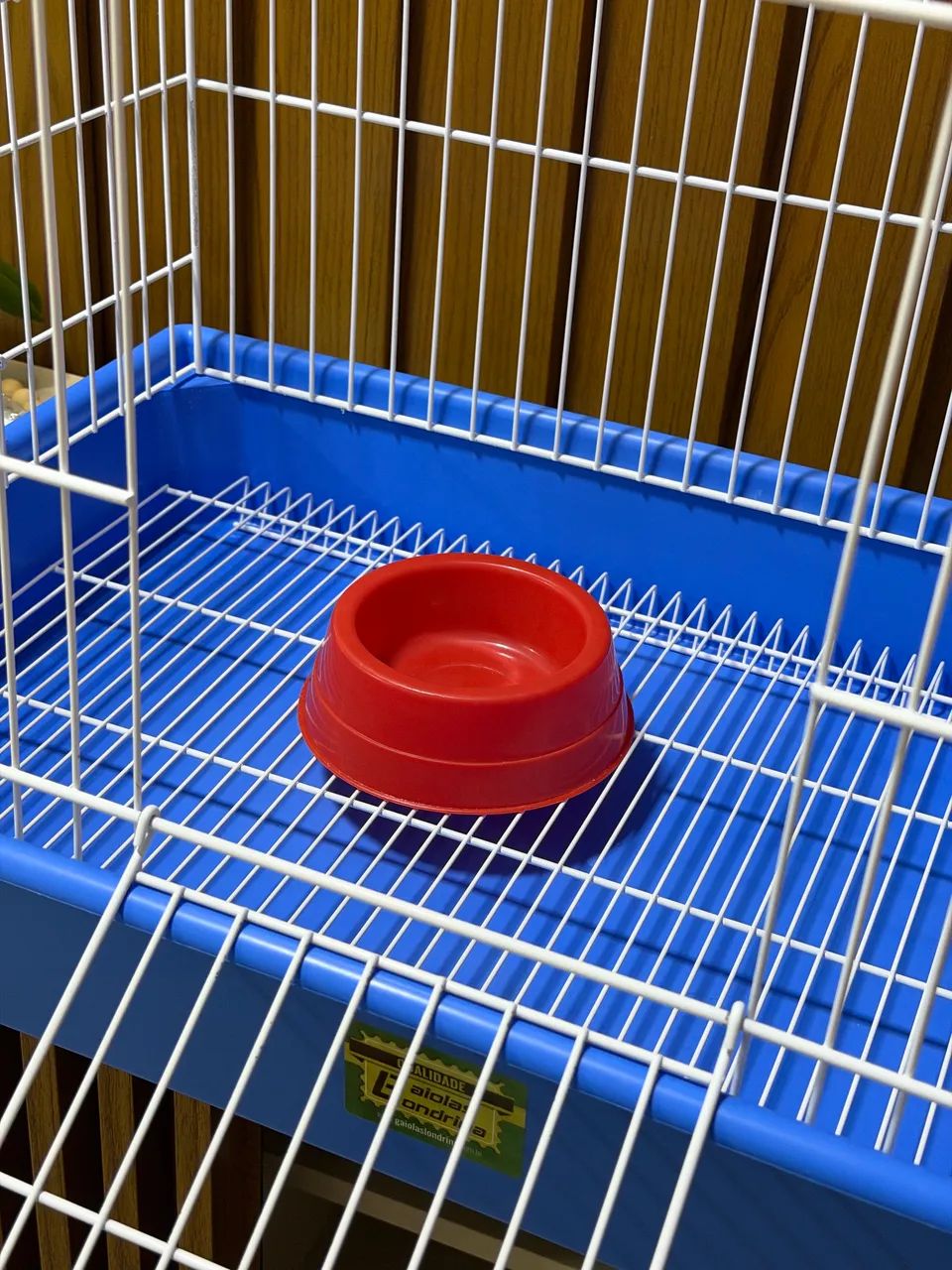 Gaiola Coelho Mini Rex  - Foto 4
