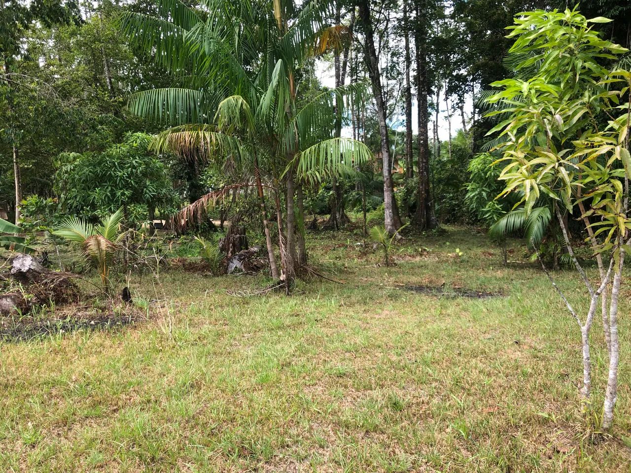 Terreno com igarapé e sem igarapé  - Foto 4
