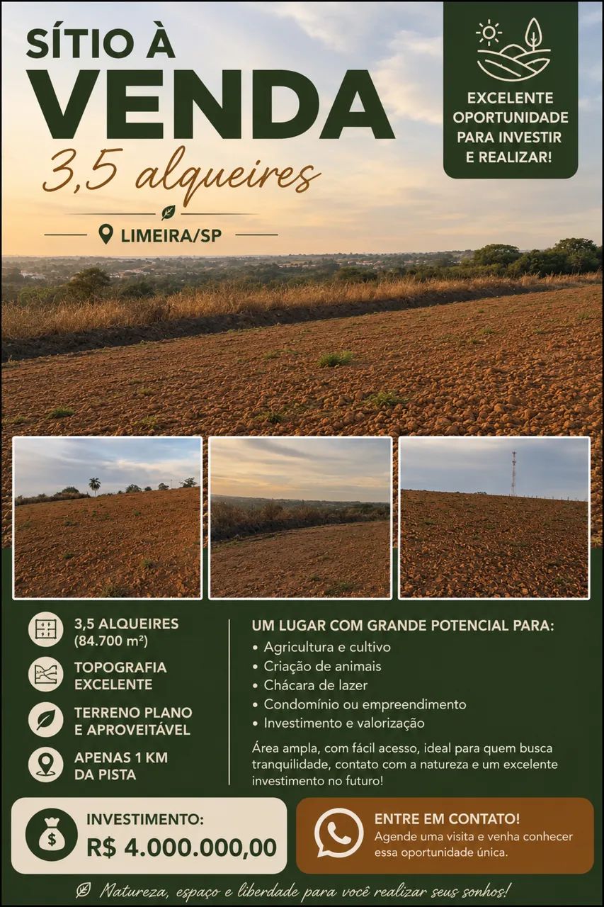 Sítio excelente topografia OPORTUNIDADE  - Foto 4