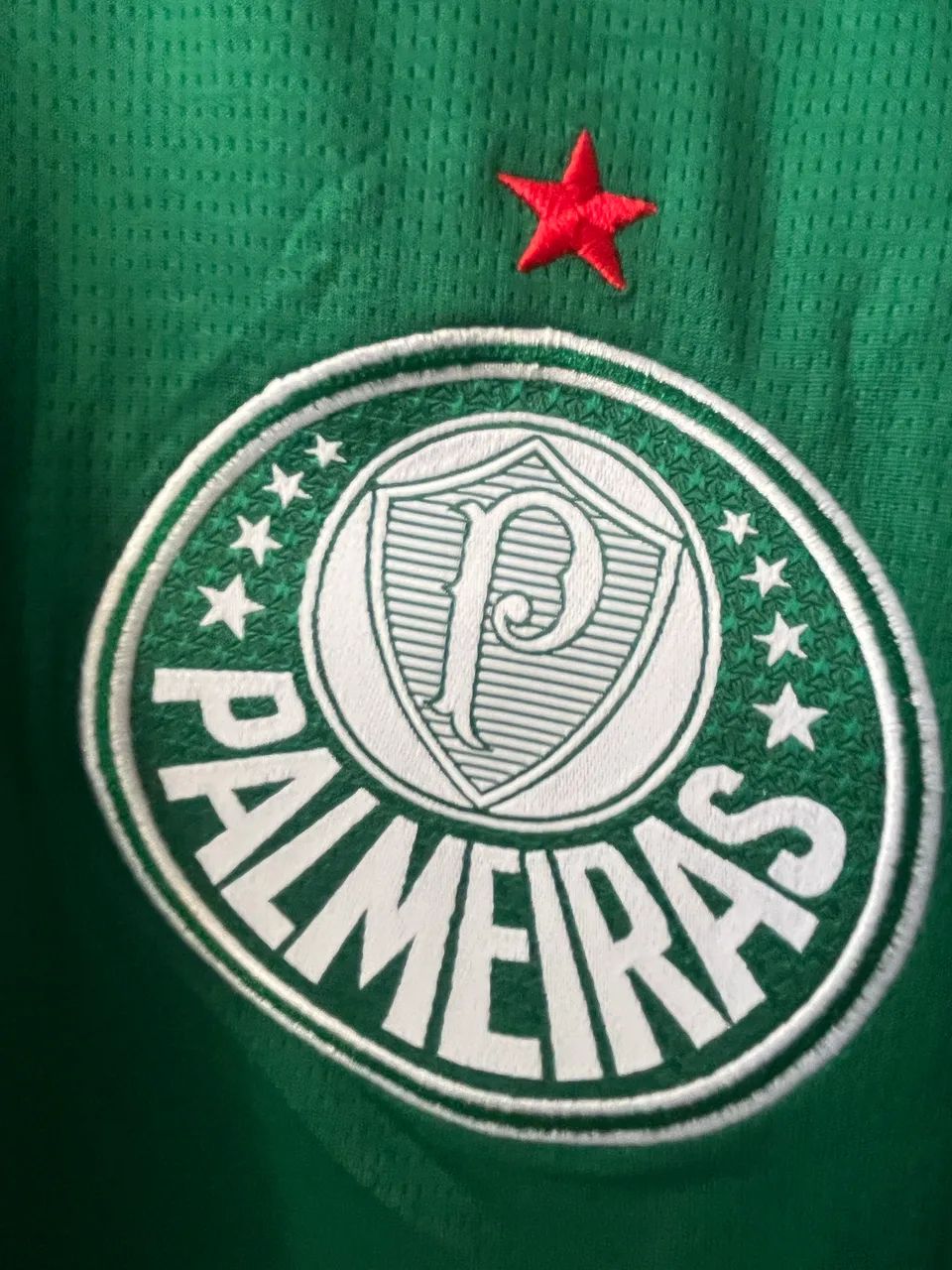 Camisa Palmeiras 2026 Nova - G - Foto 3