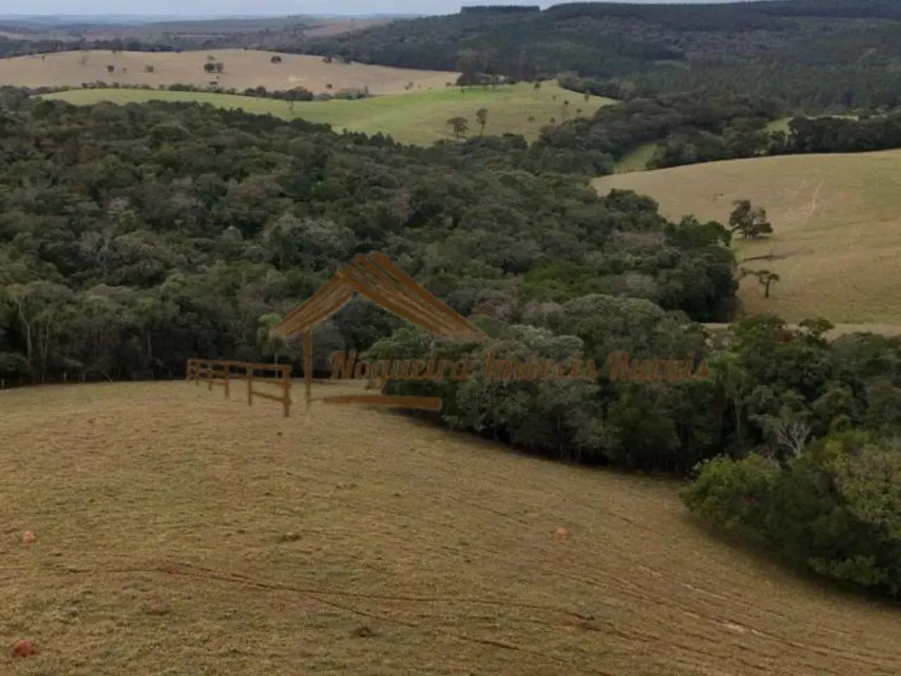 Fazenda com 152 alqueires na região de Buri-SP - Foto 5
