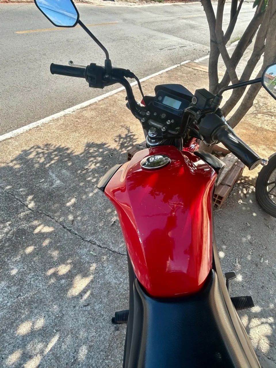 Factor 150 2024/2025 - Foto 2