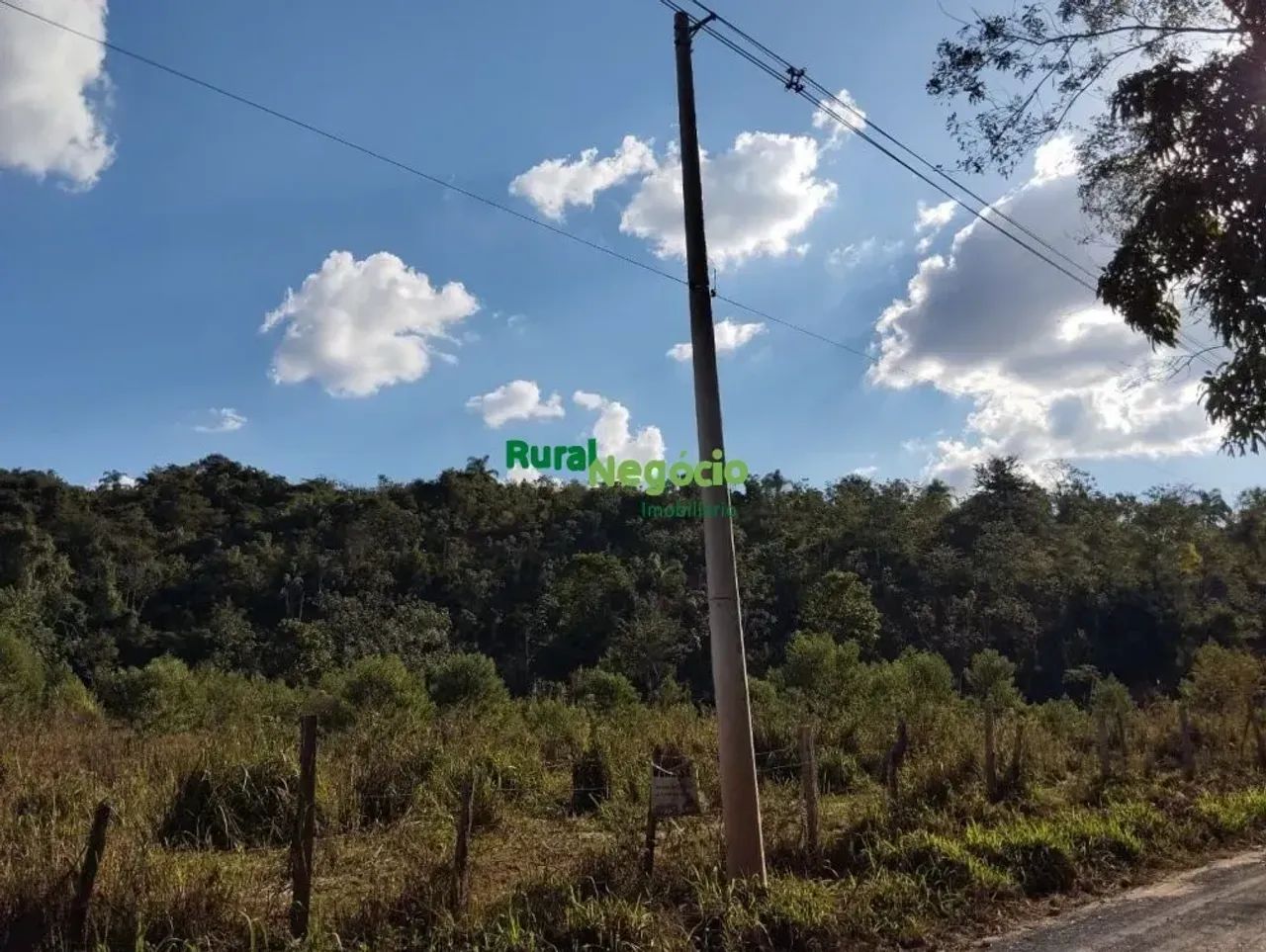CHÁCARAS SEM BENFEITORIAS Á VENDA EM CANAS-SP - Foto 3