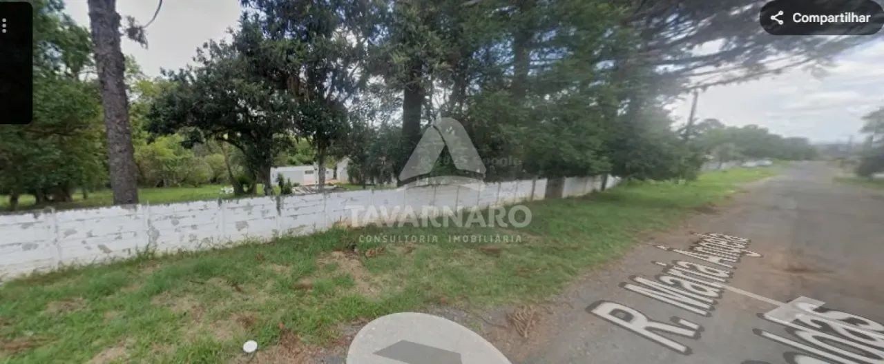 Terreno a venda em Uvaranas - Foto 3