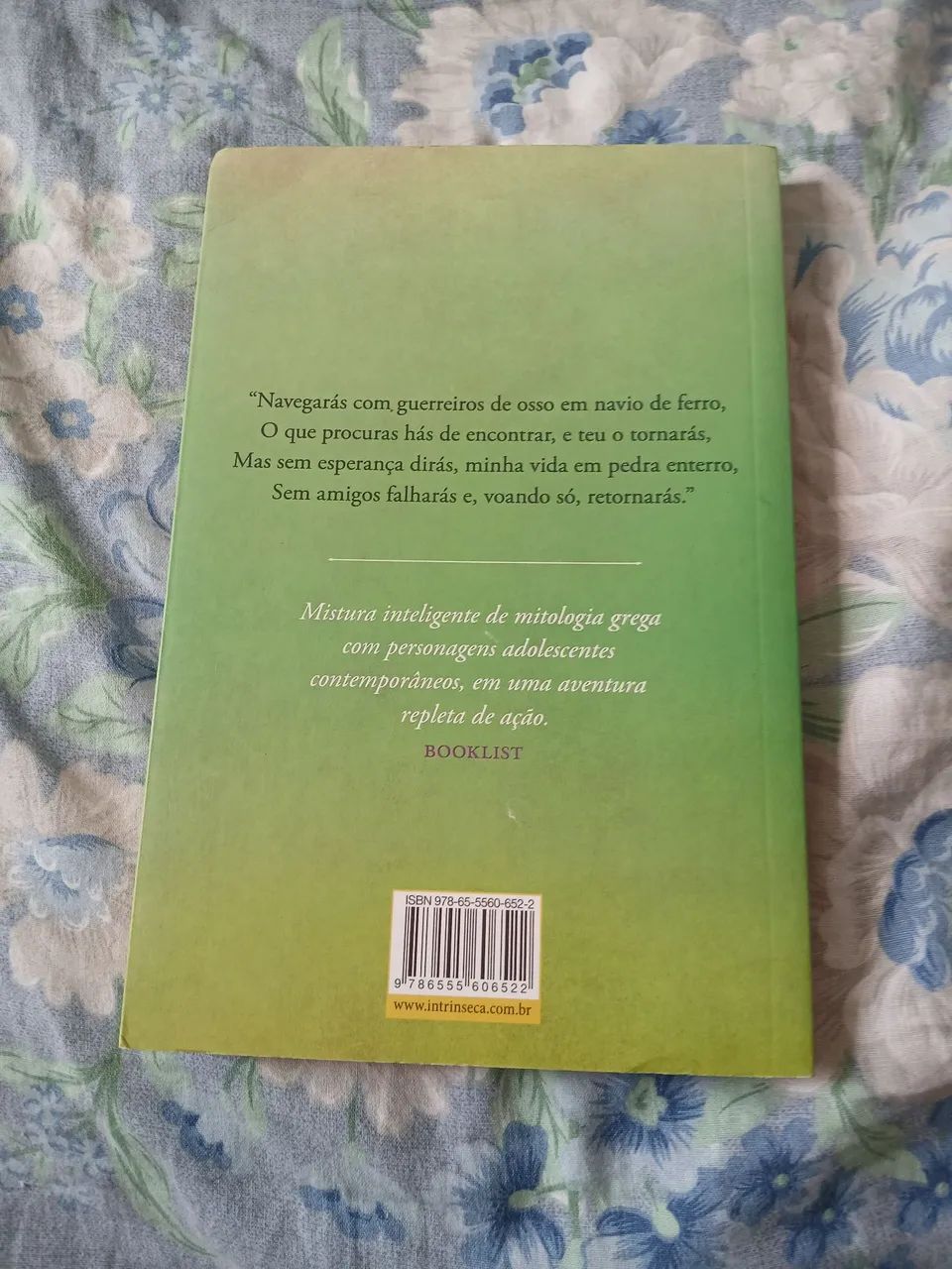 Percy Jackson e os olimpíanos - Foto 2