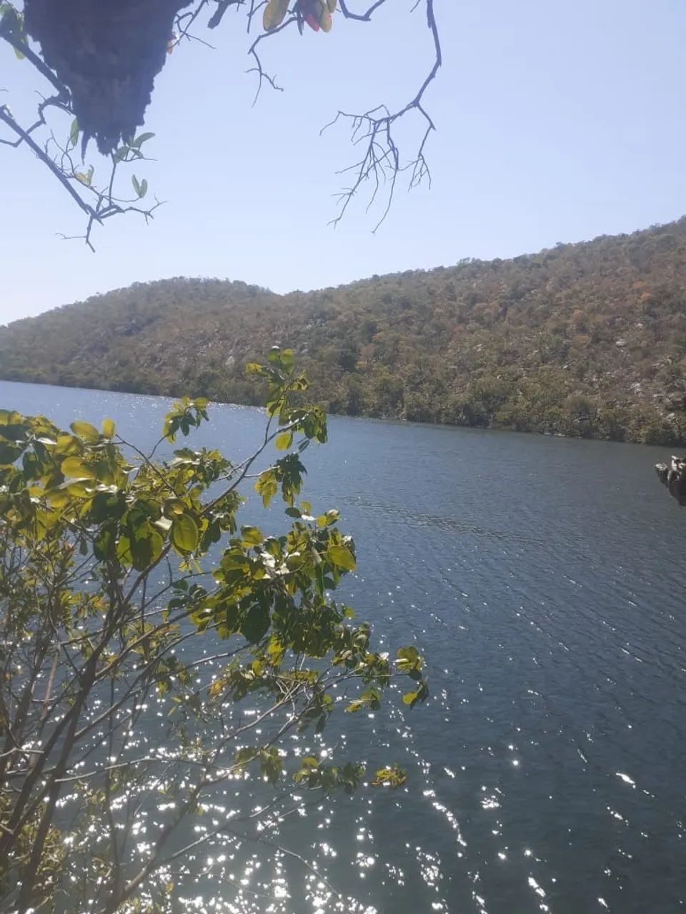 Fazenda/Terra - Área de 36 alqueires Escriturada - Foto 4