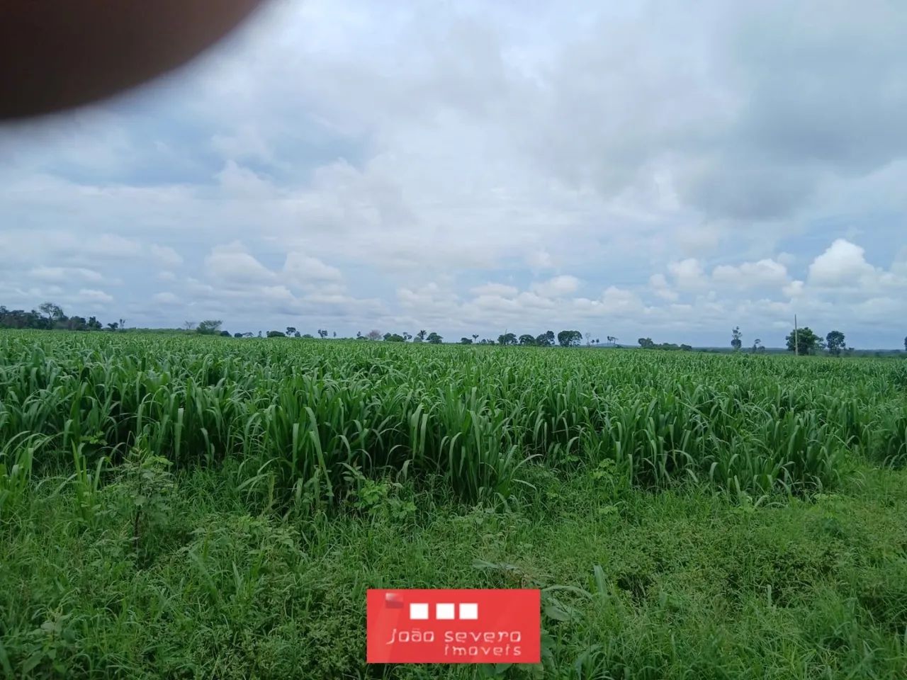 Fazenda para Venda em Luciara - Foto 2